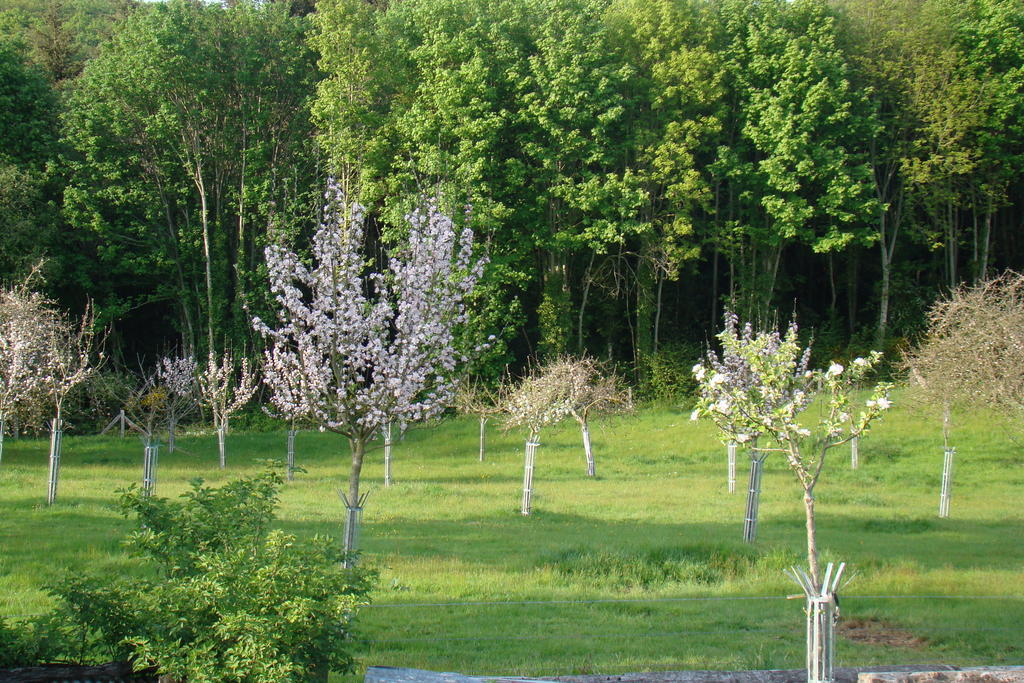 Gite De La Cour Campandre-Valcongrain Номер фото